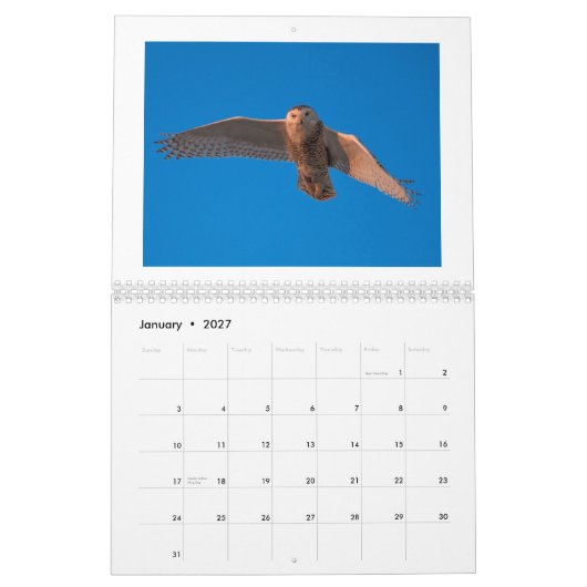 Calendrier de la photographie 2015 de Dustin (Jan 2027)