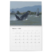Calendrier de la photographie de baleine (Feb 2026)