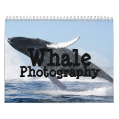 Calendrier de la photographie de baleine (Protection)