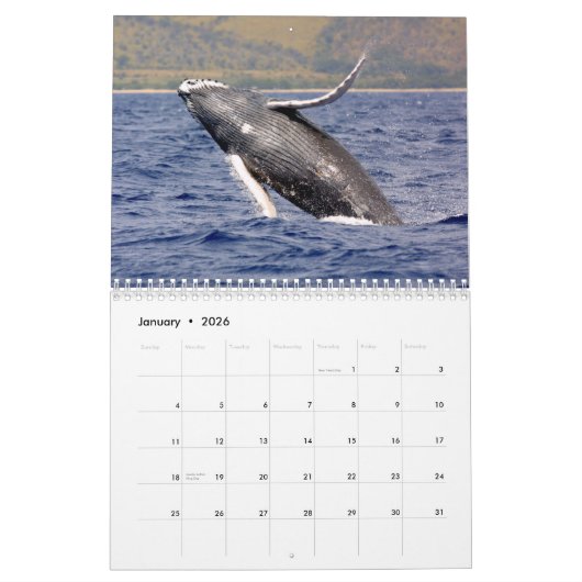 Calendrier de la photographie de baleine (Jan 2026)