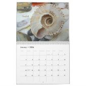 Calendrier de la photographie de coquillages longu (Jan 2026)