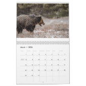 Calendrier de la photographie de la faune (Mar 2026)