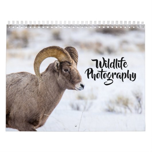 Calendrier de la photographie de la faune (Protection)