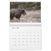 Calendrier de la photographie de la faune (Mar 2027)