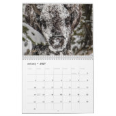 Calendrier de la photographie de la faune (Jan 2027)