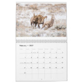 Calendrier de la photographie de la faune (Feb 2027)