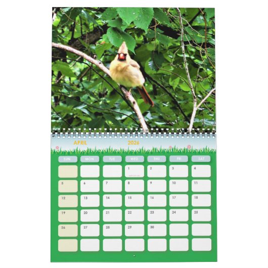 Calendrier de la photographie de la faune (Apr 2026)