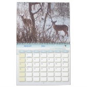 Calendrier de la photographie de la faune (Feb 2026)