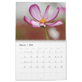 Calendrier de la photographie de la faune avec ann (Feb 2026)