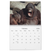 Calendrier de la photographie de la faune des prim (Feb 2026)
