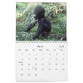 Calendrier de la photographie de la faune des prim (Mar 2026)