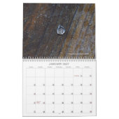 Calendrier de la photographie de macro (Jan 2027)