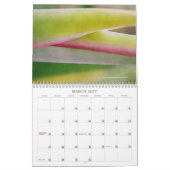 Calendrier de la photographie de macro (Mar 2027)