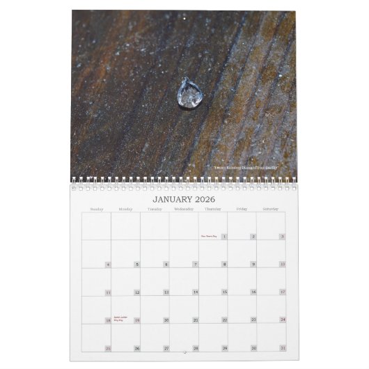 Calendrier de la photographie de macro (Jan 2026)