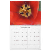 Calendrier de la photographie de macro (Feb 2026)