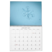 Calendrier de la photographie de macro (Jan 2027)
