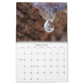 Calendrier de la photographie de macro (Mar 2026)