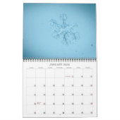 Calendrier de la photographie de macro (Jan 2026)