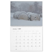 Calendrier de la photographie de Scott Bosworth 20 (Jan 2027)