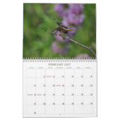Calendrier de la photographie des libellules (Feb 2027)