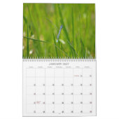 Calendrier de la photographie des libellules (Jan 2027)