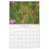 Calendrier de la photographie des libellules (Mar 2026)