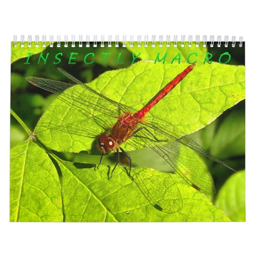 Calendrier de la photographie des macros d'interse (Protection)