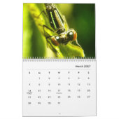 Calendrier de la photographie des macros d'interse (Mar 2027)