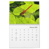 Calendrier de la photographie des macros d'interse (Feb 2026)