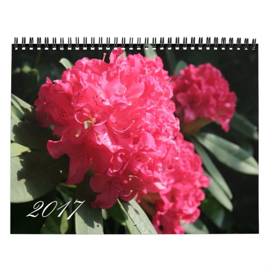 Calendrier de la photographie florale de l'année 2 (Protection)