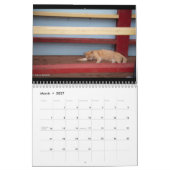 Calendrier de la photographie Frank Roberts (Mar 2027)