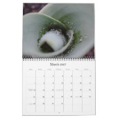 Calendrier de la photographie nature (Mar 2027)