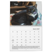 Calendrier de la place de Tabby 2022 (Mar 2027)