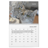 Calendrier de la place de Tabby 2022 (Jan 2027)