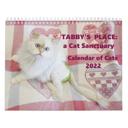 Calendrier de la place de Tabby 2022 (Protection)