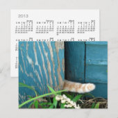 Calendrier de la queue de chat ~ carte postale (Devant / Derrière)