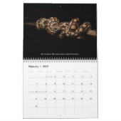 Calendrier de la radio Morelia Python 2024 (Feb 2027)