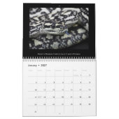 Calendrier de la radio Morelia Python 2025 (Jan 2027)