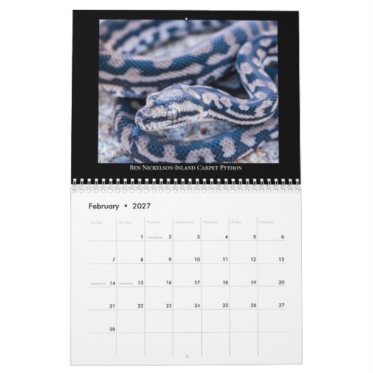 Calendrier de la radio Morelia Python 2025 (Feb 2027)