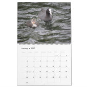Calendrier de la sauvagine britannique 2014 (Jan 2027)