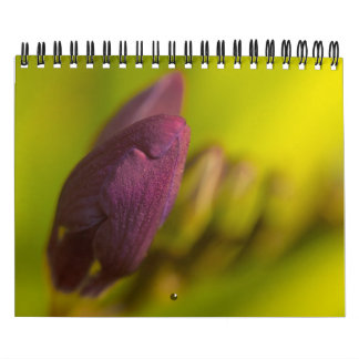 Calendrier De la terre abondante