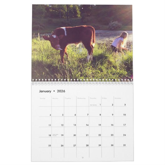 Calendrier de la vache (Jan 2026)