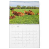 Calendrier de la vache (Jan 2026)