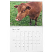 Calendrier de la vache (Mar 2027)