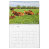 Calendrier de la vache (Jan 2027)