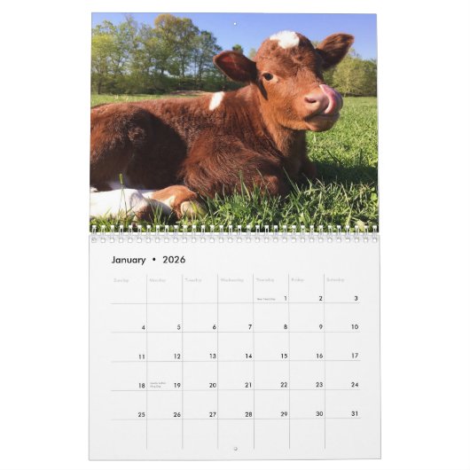Calendrier de la vache (Jan 2026)