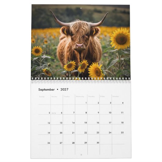 Calendrier de la vache Highland (Sep 2027)