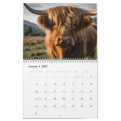 Calendrier de la vache Highland (Jan 2027)