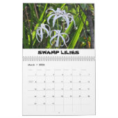 Calendrier de la vallée du requin (Mar 2026)