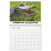 Calendrier de la vallée du requin (Jan 2027)